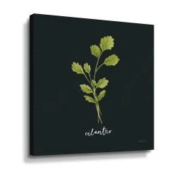 ArtWall Herbs IV Cilantro Canvas Wall Art