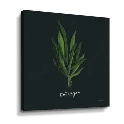 ArtWall Herbs V Tarragon Canvas Wall Art