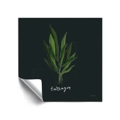 ArtWall Herbs V Tarragon Removable Wall Art