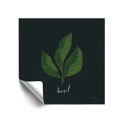 ArtWall Herbs VI Basil Removable Wall Art