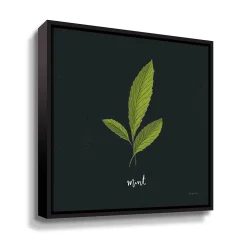 ArtWall Herbs VII Mint Framed Wall Art