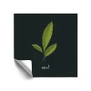 ArtWall Herbs VII Mint Removable Wall Art