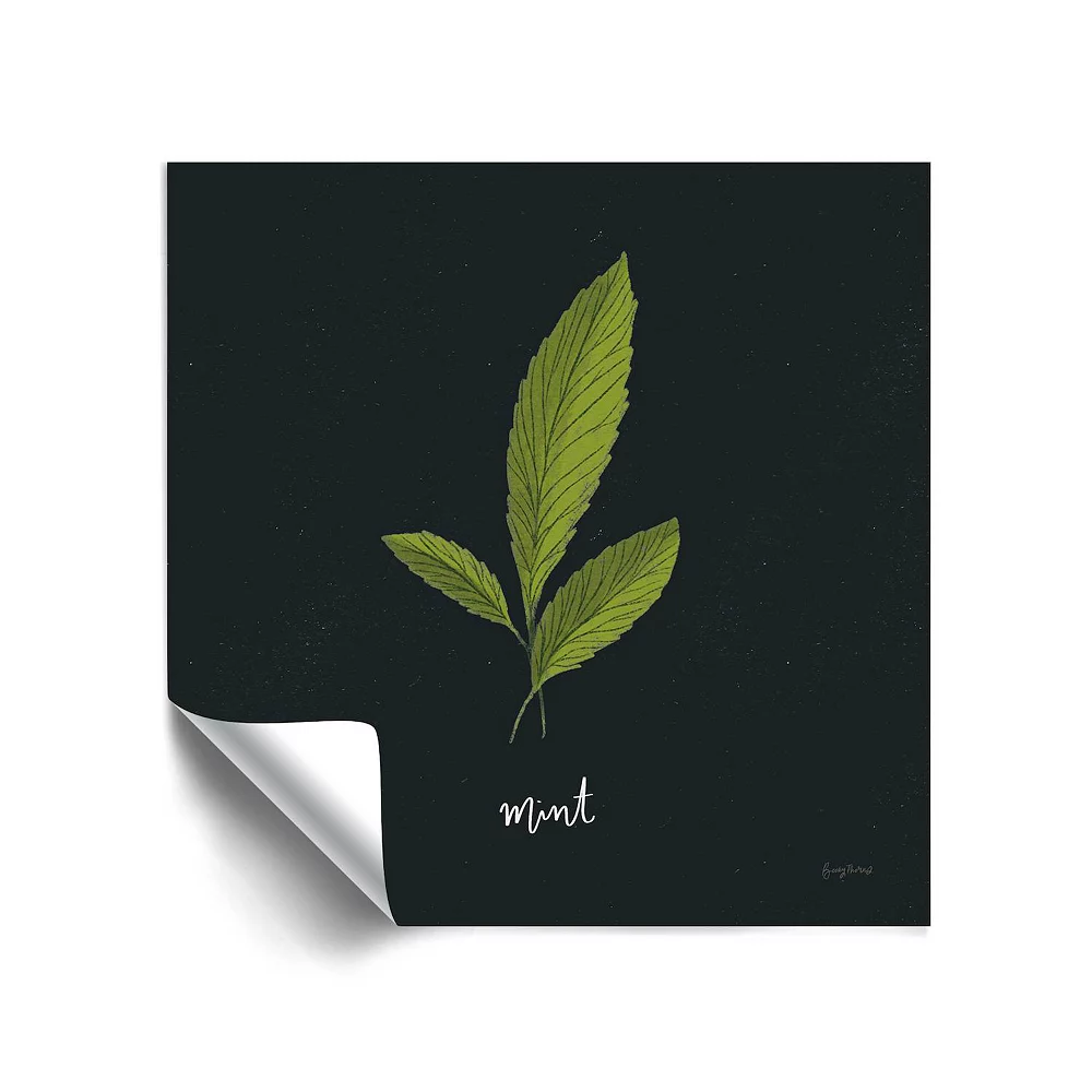 ArtWall Herbs VII Mint Removable Wall Art 1 ArtWall Herbs VII Mint Removable Wall Art