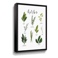 ArtWall Herbs I Framed Wall Art
