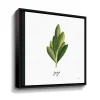ArtWall Herbs II Sage Framed Wall Art