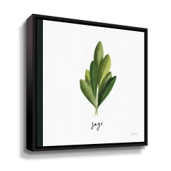 ArtWall Herbs II Sage Framed Wall Art