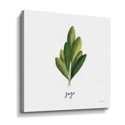 ArtWall Herbs II Sage Canvas Wall Art