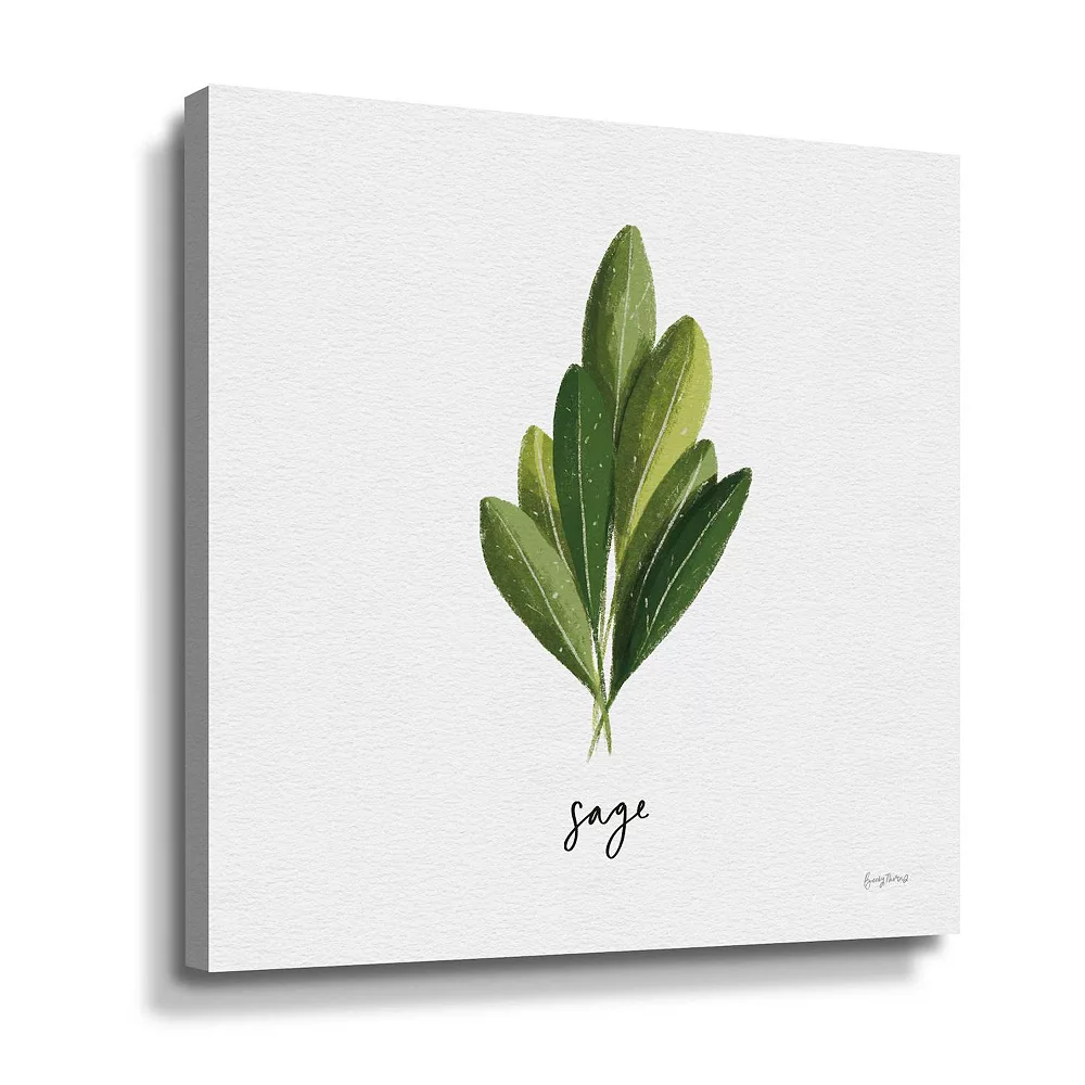 ArtWall Herbs II Sage Canvas Wall Art 1 ArtWall Herbs II Sage Canvas Wall Art