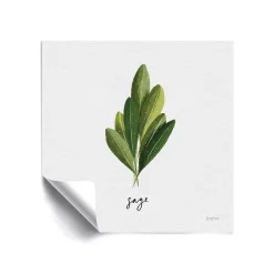 ArtWall Herbs II Sage Removable Wall Art