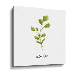 ArtWall Herbs IV Cilantro Canvas Wall Art