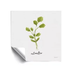 ArtWall Herbs IV Cilantro Removable Wall Art