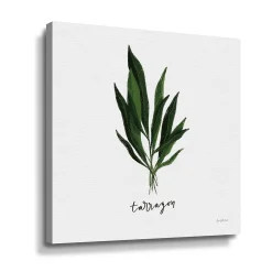 ArtWall Herbs V Tarragon Canvas Wall Art