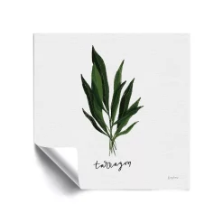 ArtWall Herbs V Tarragon Removable Wall Art