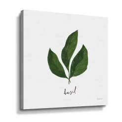 ArtWall Herbs VI Basil Canvas Wall Art