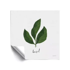 ArtWall Herbs VI Basil Removable Wall Art
