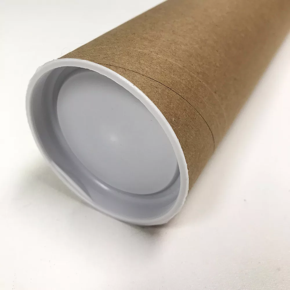 ArtWall Herbs VI Basil Removable Wall Art 3 ArtWall Herbs VI Basil Removable Wall Art - Image 3