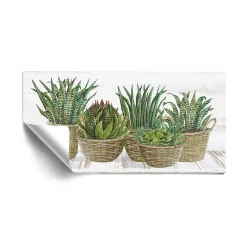 ArtWall Succulent Baskets Removable Wall Art
