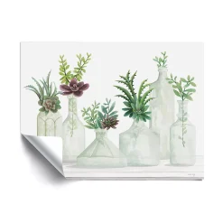 ArtWall Succulent Bottles Removable Wall Art