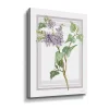 ArtWall Lilacs V Canvas Wall Art