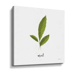 ArtWall Herbs VII Mint Canvas Wall Art