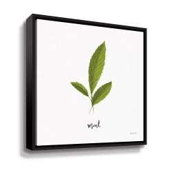 ArtWall Herbs VII Mint Framed Wall Art