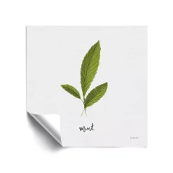 ArtWall Herbs VII Mint Removable Wall Art