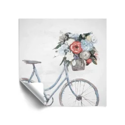 ArtWall Bicycle Reflections Removable Wall Art