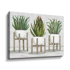 ArtWall Succulent Trio Canvas Wall Art