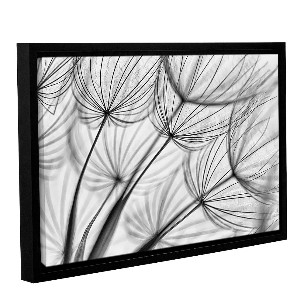 ArtWall Parachute Seed II Floating Framed Wall Art 1 ArtWall Parachute Seed II Floating Framed Wall Art