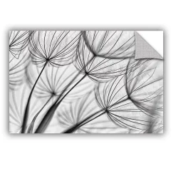 ArtWall Parachute Seed II Removable Wall Art