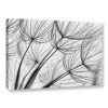 ArtWall Parachute Seed II Canvas Wall Art
