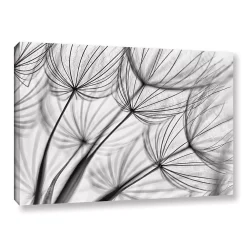 ArtWall Parachute Seed II Canvas Wall Art
