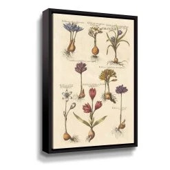 ArtWall Vintage Florilegium I Floral Framed Wall Art