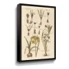 ArtWall Vintage Florilegium II Floral Framed Wall Art