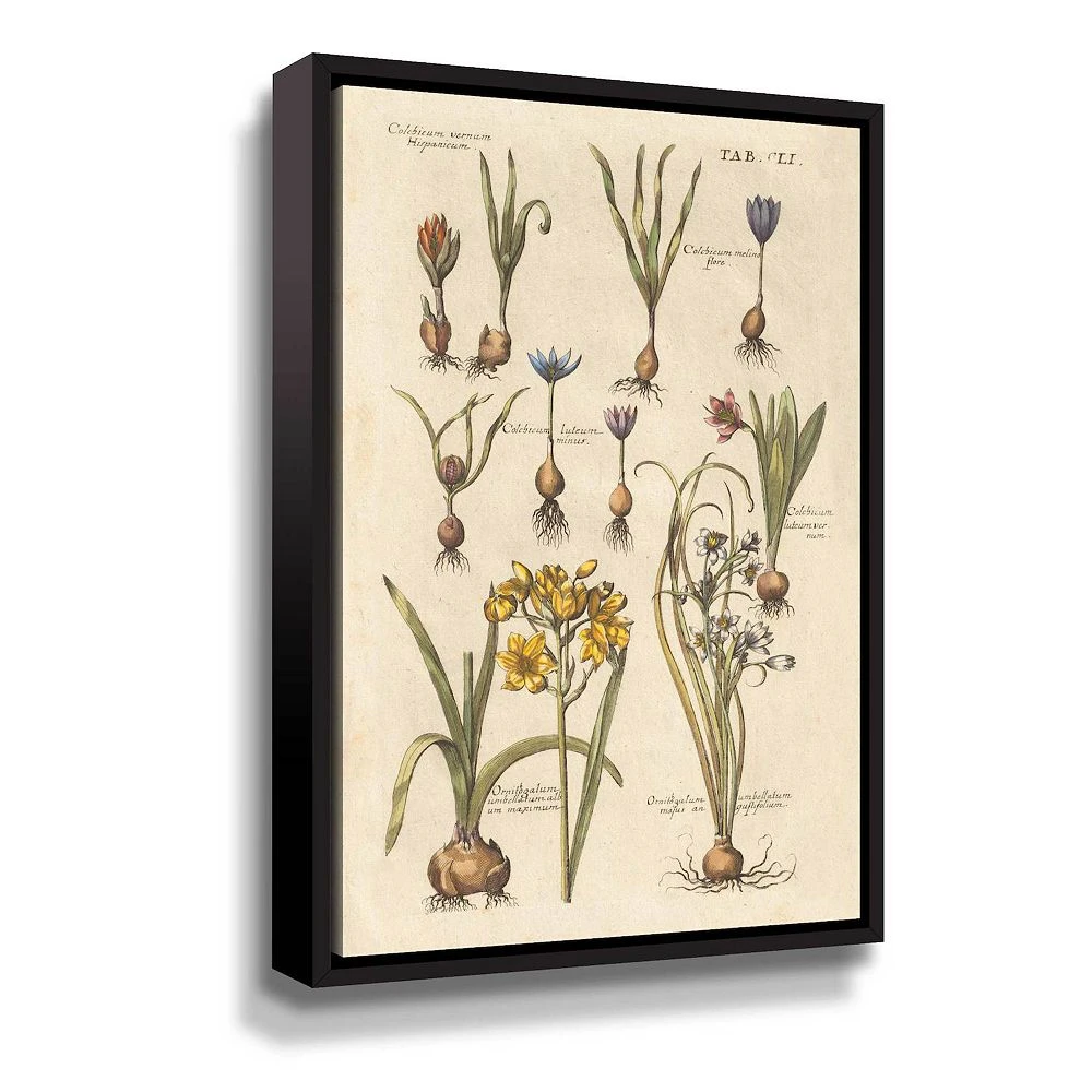 ArtWall Vintage Florilegium II Floral Framed Wall Art 1 ArtWall Vintage Florilegium II Floral Framed Wall Art