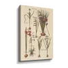 ArtWall Vintage Inspired Florilegium III Floral Canvas Wall Art