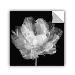 ArtWall Tulipa Black & White I Removable Wall Art