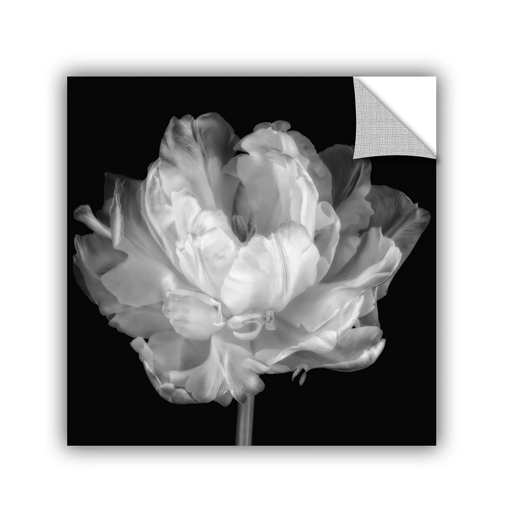 ArtWall Tulipa Black & White I Removable Wall Art 1 ArtWall Tulipa Black & White I Removable Wall Art