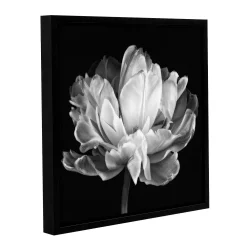 ArtWall Tulipa Black & White II Framed Wall Art
