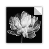 ArtWall Tulip Black & White II Wall Art