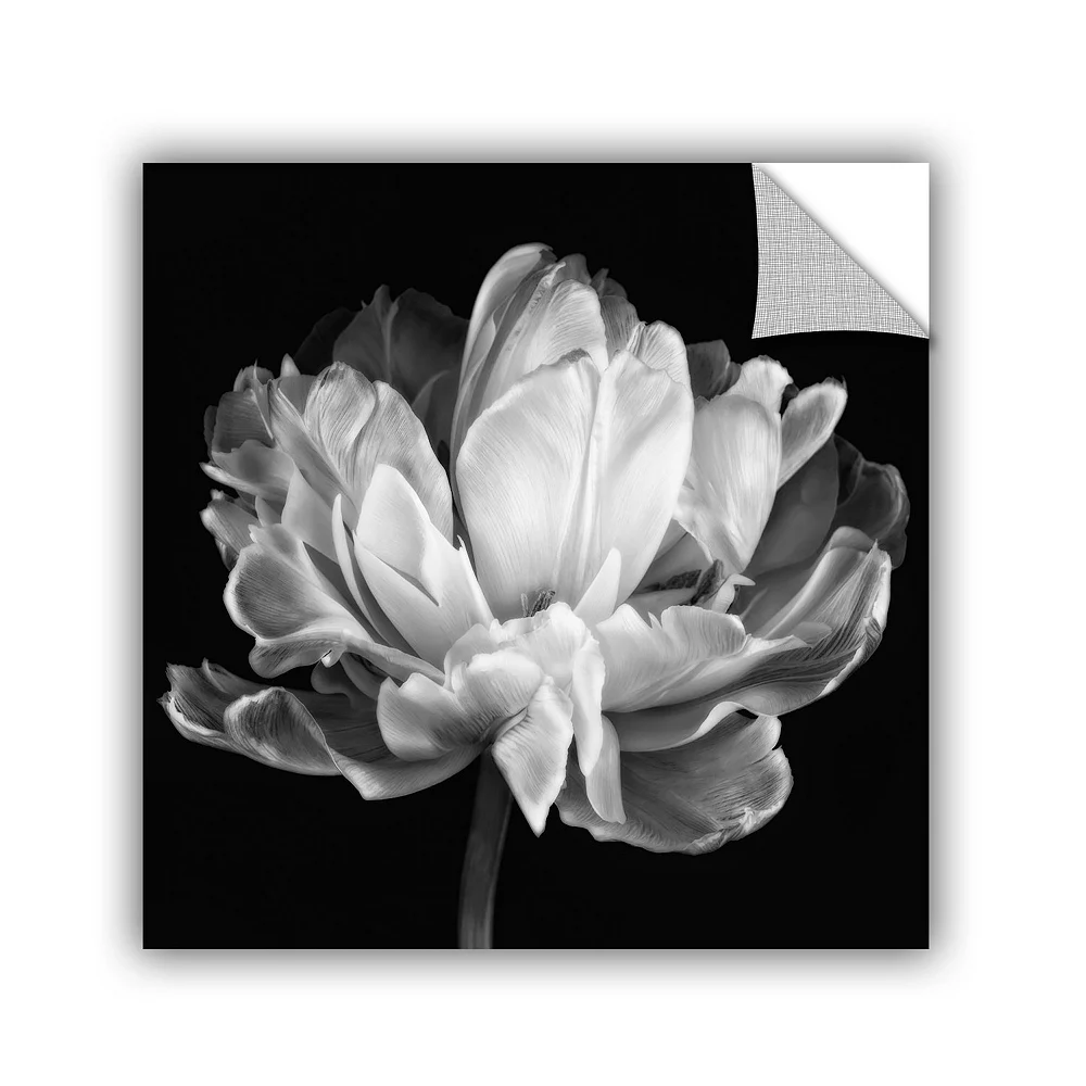 ArtWall Tulip Black & White II Wall Art 1 ArtWall Tulip Black & White II Wall Art