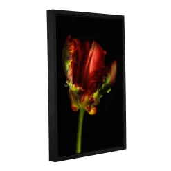 ArtWall Tulip Parrot I Floating Framed Wall Art