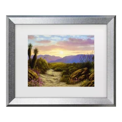 Trademark Fine Art Anthony Casay Desert Scene Matted Framed Art