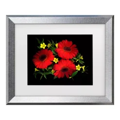 Trademark Fine Art Susan S. Barmon Gerbera Daisy And Carolina Jasmine Matted Framed Art