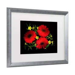 Trademark Fine Art Susan S. Barmon Gerbera Daisy And Carolina Jasmine Matted Framed Art -Kohl's Sales 5877710 ALT2