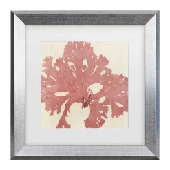 Trademark Fine Art Vision Studio Brilliant Seaweed V Matted Framed Art