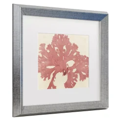 Trademark Fine Art Vision Studio Brilliant Seaweed V Matted Framed Art -Kohl's Sales 5877967 ALT2