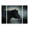 Trademark Fine Art Portrait Of The Black Angus Cow Canvas Wall Art 3-piece Set