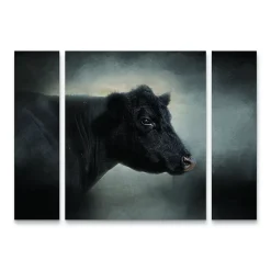 Trademark Fine Art Portrait Of The Black Angus Cow Canvas Wall Art 3-piece Set