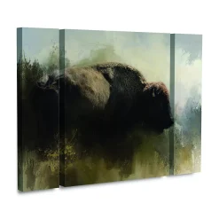Trademark Fine Art Abstract American Bison Canvas Wall Art 3-piece Set -Kohl's Sales 5879747 ALT2
